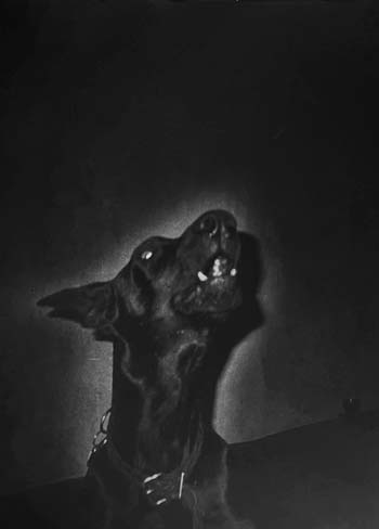 Christa Näher, o.T., 1995, Silver Gelatin Print, Edition of 1, 30 x 20,5 cm, © Christa Näher